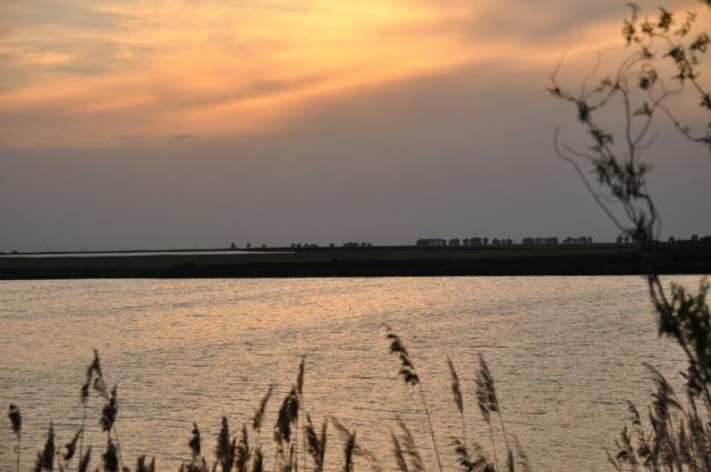 Doar ... NATURA - 4 - cnpc20-20ii20023resize1.jpg